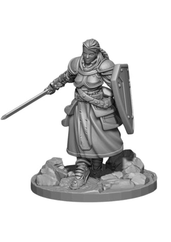 The Paladin - 3D Printable